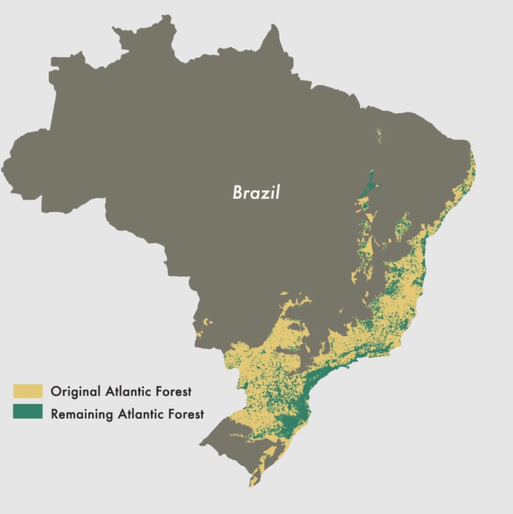 Protecting Brazil’s Atlantic Forest